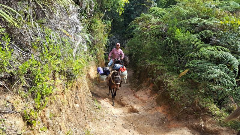 Tourguide Pferd Pico Duarte Dominikanische Republik