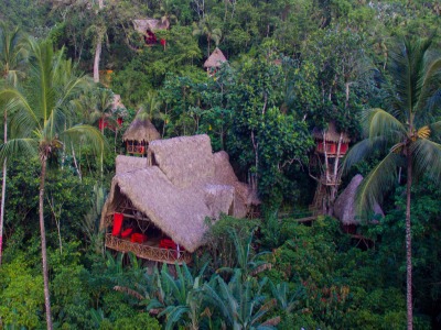 Tree House Dominican Republic
