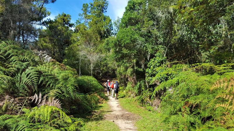 Wandergruppe Pico Duarte Dominikanische Republik